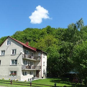 Hotel Dom nad potokiem - pokoje całoroczne Wolkowyja Exterior photo