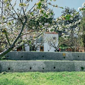 Willa Milea Mansion Limassol Exterior photo