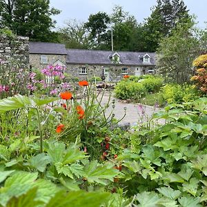 Willa Crug Yr Eryr Isaf Llandysul Exterior photo