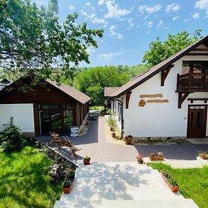 Hotel Valea Stancii Trebujeni Exterior photo