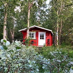 Apartament Bakkakot 3 Cozy Cabin In The Woods Akureyri Exterior photo