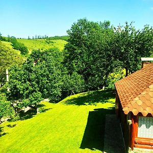 Bed and Breakfast Садиба" У Василя" Wołowiec Exterior photo