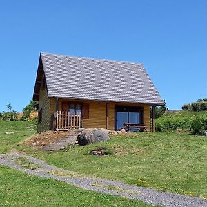 Willa Chalet Sancy Saint-Genès-Champespe Exterior photo