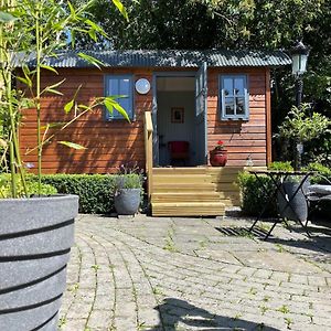 Willa Lilac Hut Shepherds Hut Jenkinstown Park Exterior photo