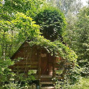 Willa Domek w lesie Aleksandrow  Exterior photo