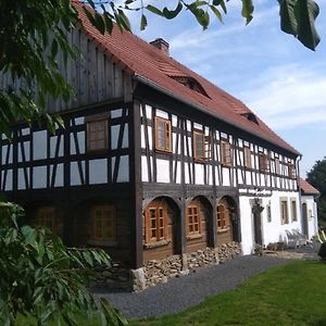 Willa Izerski dom Leśna Exterior photo