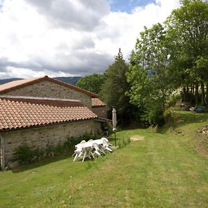 Gite Ecologique Avec Grand Jardin Pres Des Pistes De Ski - Haut Forez - Fr-1-496-98 Chalmazel-Jeansagniere Exterior photo