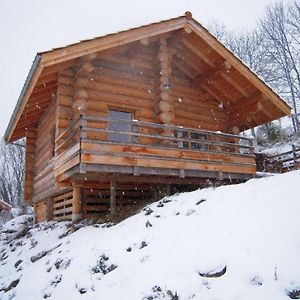 Willa Chalet Bois Chaleureux Avec Terrasse, Internet Et Animaux Acceptes - Fr-1-496-187 Saint-Martin-la-Sauvete Exterior photo