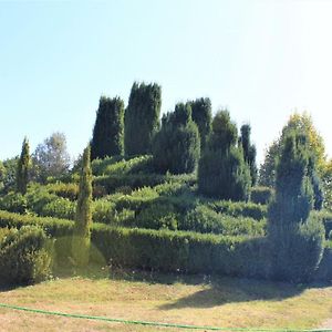 Willa Charmante Maison, Jardin Paysage, Piscine, Proche Sites Prehistoriques Et Sarlat - Fr-1-616-195 Pazayac Exterior photo