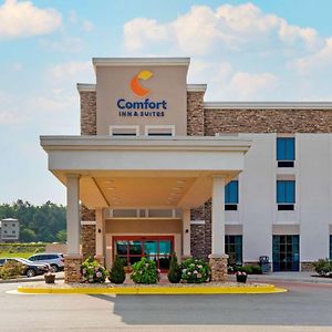 Comfort Inn & Suites East Ellijay Exterior photo