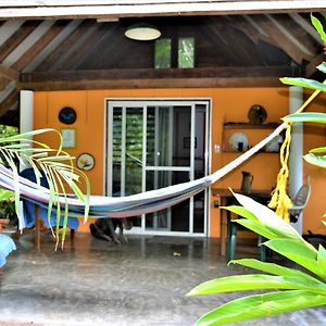 Willa Hummingbird Rest A Fully Equipped Cabana In Subtropic Garden San Ignacio Exterior photo
