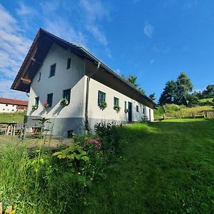 Apartament Ferienhaus Am Dachsberg, Bayerischer Wald Haselbach Exterior photo