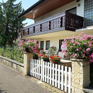 Apartament Thuja Am Weinberg Vaihingen an der Enz Exterior photo