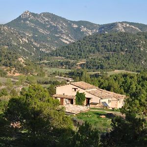 B&B Casa Rural Mas De Las Tapias Valderrobres Exterior photo