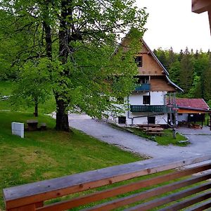 Willa Planinski Dom Na Travni Gori Sodrazica Exterior photo