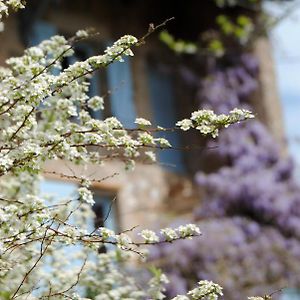 Bed and Breakfast Chambre Privative Et Originale, A 20 Mn De Cluny Trivy Exterior photo