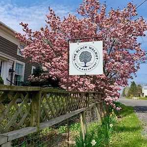 Bed and Breakfast Black Walnut Bed&Breakfast Interlaken Exterior photo