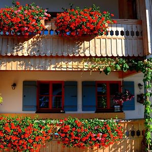 Bed and Breakfast Gaestehaus Wild-Schuetz Schwangau Exterior photo