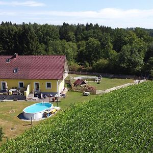 Apartament Haus Sonberg Mit Garten, Pool, Fasssauna, Semi Detached House With Garden Deutschlandsberg Exterior photo