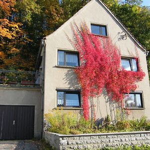 Willa Unser Ferienhaus Ebersbach-Neugersdorf Exterior photo