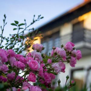 Hotel A House, Free Parking, Sauna Koprivnica Exterior photo