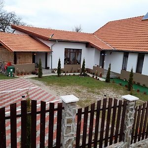 Hotel Pensiunea Narcisa Cu Ciubar Malaesti Exterior photo