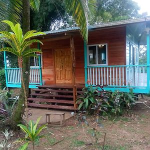 Willa The Bamboo House Bocas del Toro Exterior photo