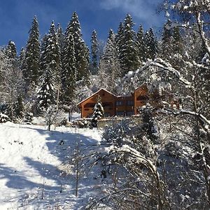 Hotel Privatna Sadiba Chalet Orawczyk Exterior photo