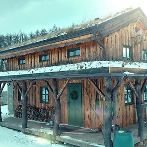 Willa Chalet Boruvka - Biofarma Na Samote V Lesich Benesov  Exterior photo