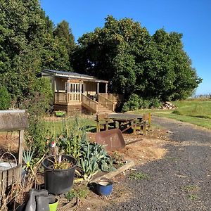 Willa The Treehut Ohauiti Exterior photo