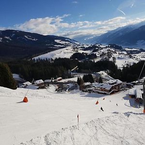 Willa Panorama Chalet Mittersill Exterior photo