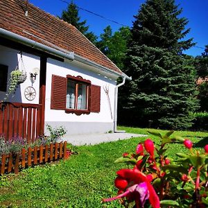 Hotel Orseg Kincse Nagy Apartman - 6 Fore Hegyhátszentjakab Exterior photo