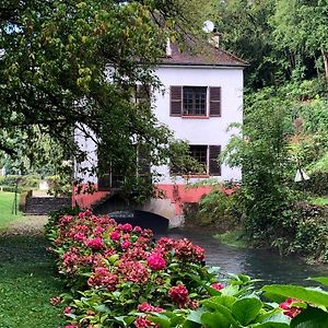 Bed and Breakfast Moulin De Belle Isle Bèze Exterior photo