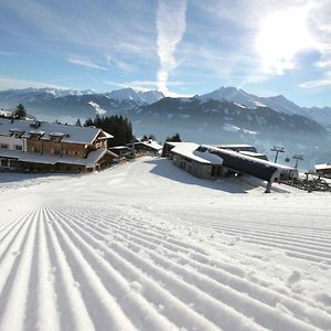 Apartament Elegant Chalet With Sauna In Mittersill Salzburg Hollersbach im Pinzgau Exterior photo