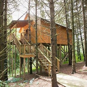 Willa Whispering Pines Treehouse By Amish Country Lodging Millersburg Exterior photo