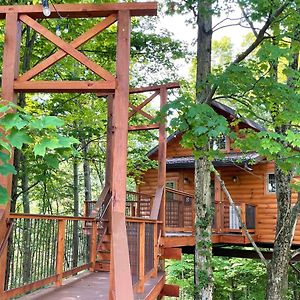 Willa Treehouse #8 By Amish Country Lodging Millersburg Exterior photo