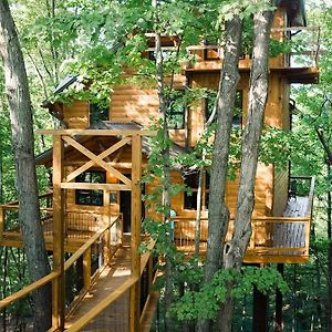 Willa Treehouse #1 By Amish Country Lodging Millersburg Exterior photo