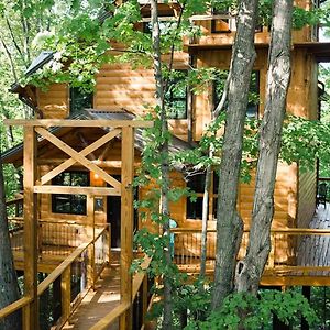 Willa Treehouse #2 By Amish Country Lodging Millersburg Exterior photo
