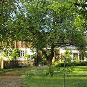 Willa Austragshaus Almbranz Helmbrechts Exterior photo