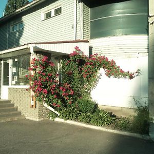 Motel Pid Strihoyu Krzemieńczuk Exterior photo