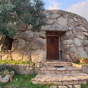 Bed and Breakfast Il Nuraghe Del Lago Coghinas Oschiri Exterior photo