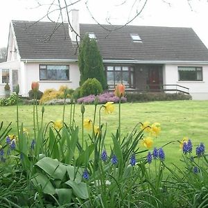 Bed and Breakfast Glen Na Smole Wicklow Exterior photo