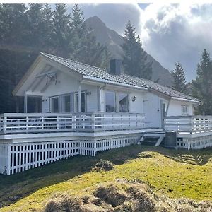 Willa Vettinghytta, Close To The Sea With Amazing View. Gravdal  Exterior photo