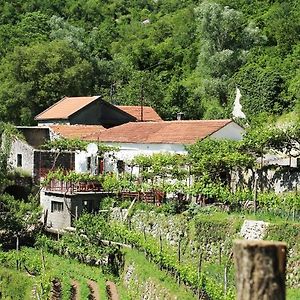 Apartament Country House Dajkovic Dupilo Exterior photo