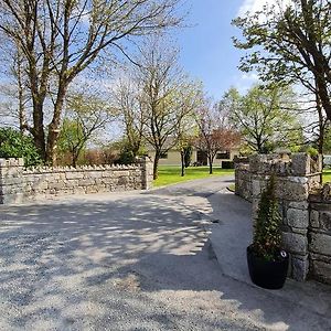 Willa Yellow Heights Country House Tinahely Exterior photo