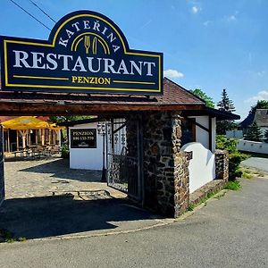 Hotel Katerina Restaurant A Penzion Rozvadov Exterior photo