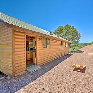 Willa Secluded Payson Cabin With Deck And Mogollon Rim Views Exterior photo