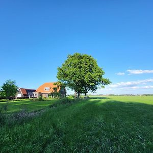 Bed and Breakfast Bed & Breakfast De Vink Terschuur Exterior photo