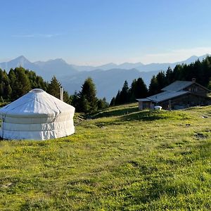 Hotel Alp Jurte Skihuette Feldis Exterior photo