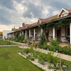 Hotel Country Club La Mesteceni Sebeş Exterior photo